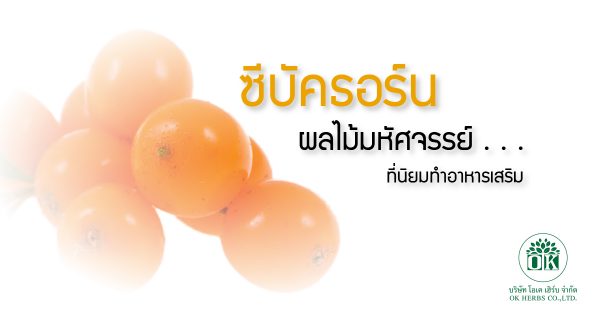 ซีบัคธอร์น ผลไม้มหัศจรรย์ ,ซีบัคธอร์น , โรงงานรับผลิตอาหารเสริม ,ok herb ,รับผลิตอาหารเสริม , คุณธนอรรถ ตรีธิติธัญ